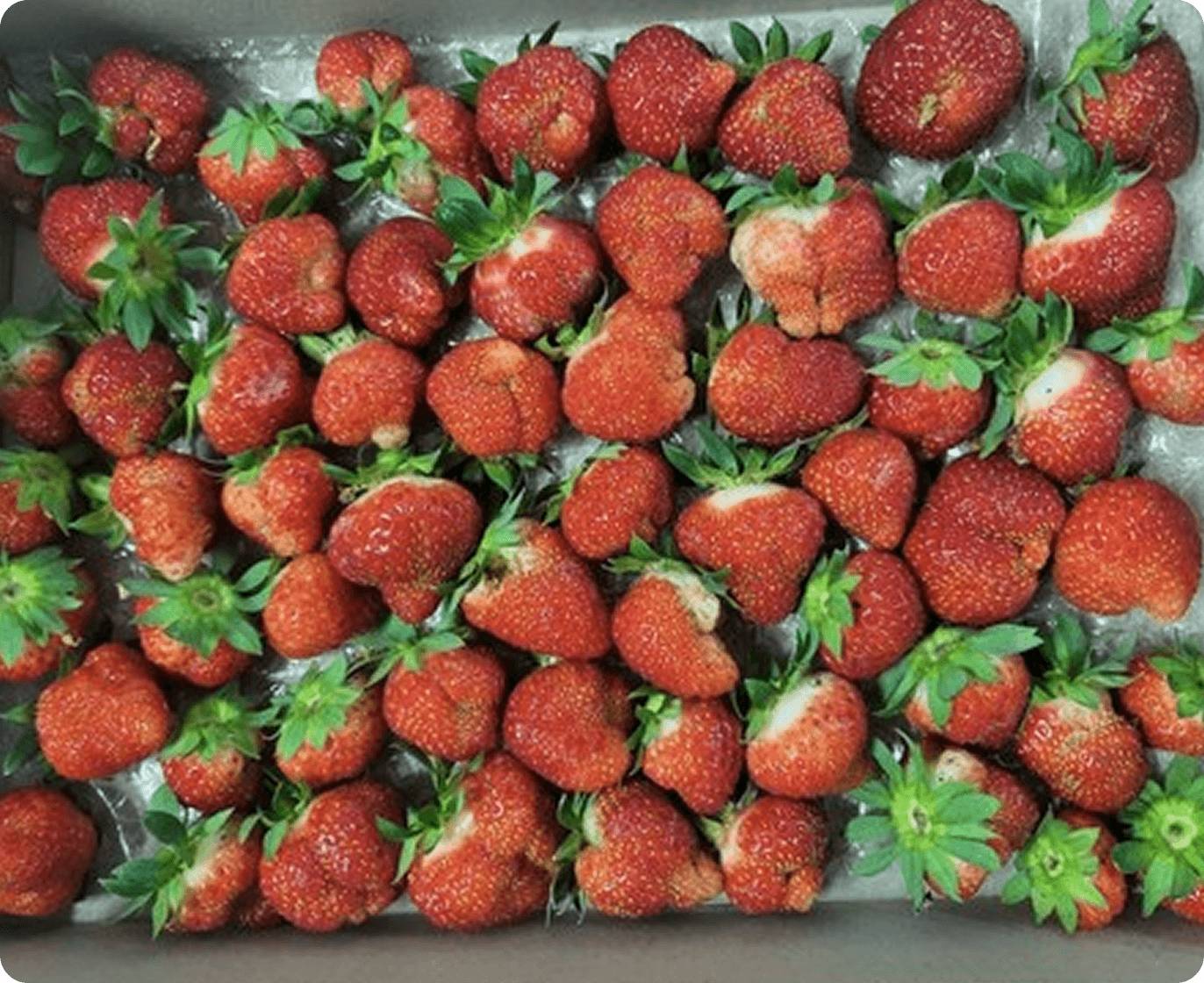 meeting detail image ql98hz97idgt0o200gu5abcy